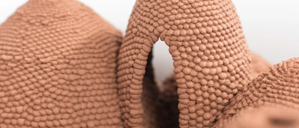 Close-up of mud-brown round shapes. Photo.