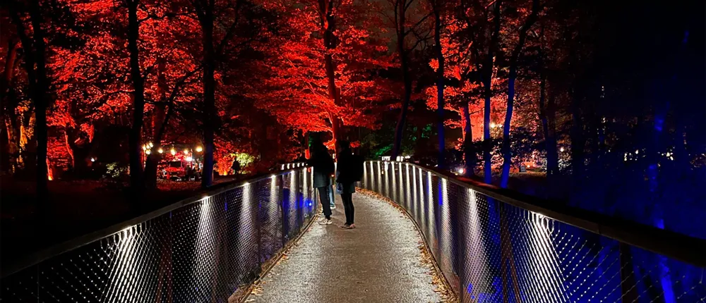 People on a bridge in red night lights. Photo.