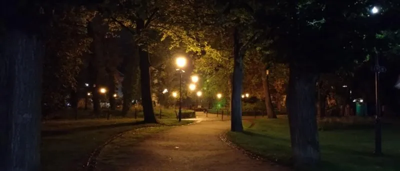 Dimly lit park at night. Photo.